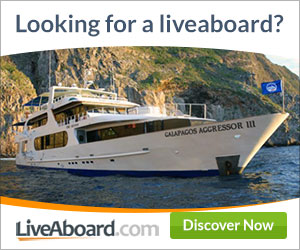 Liveaboard